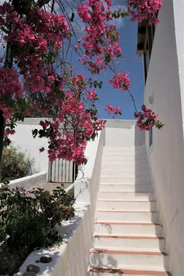 Case Al Mare - Terrazzi Panoramici E Ampio Giardino Santa Marina Salina Εξωτερικό φωτογραφία